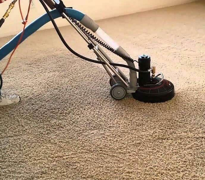 carpet sanitizing service